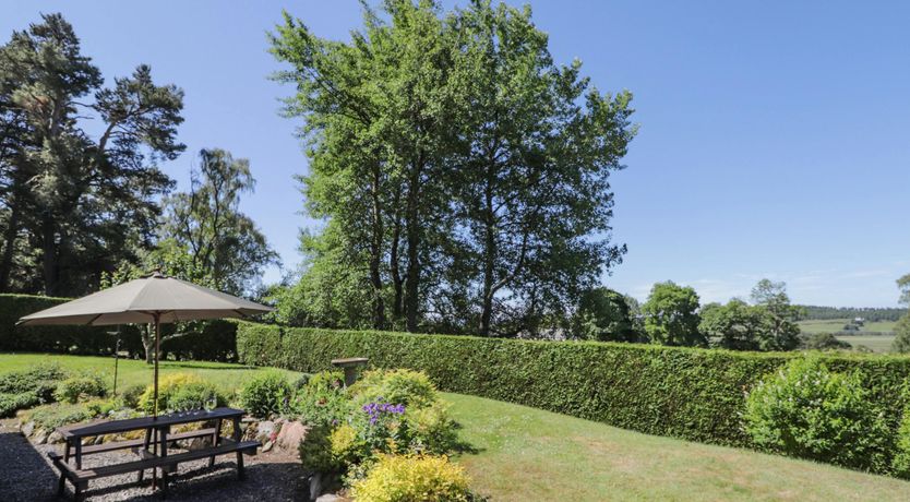 Photo of Red Squirrel