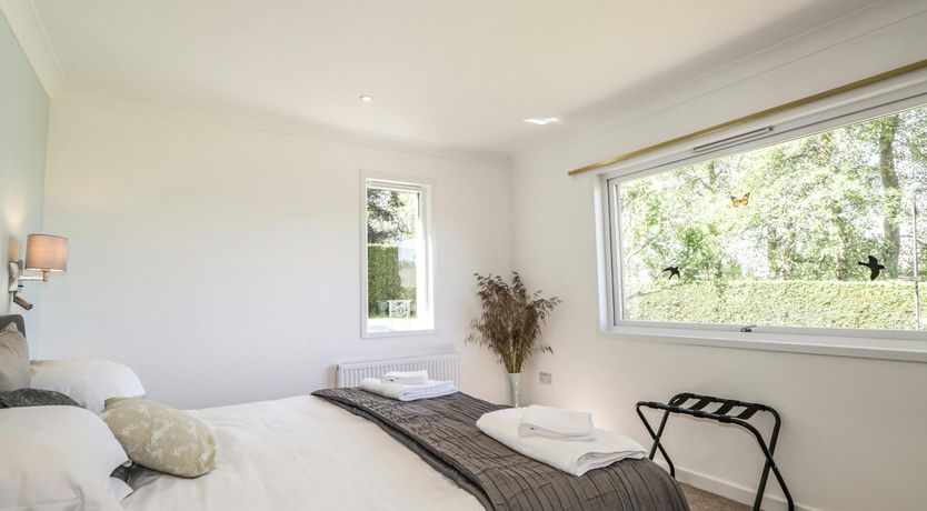 Photo of Red Squirrel