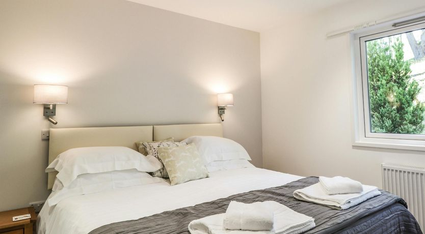 Photo of Red Squirrel