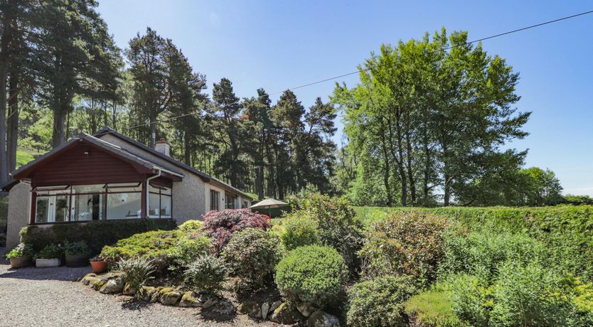 Photo of Red Squirrel