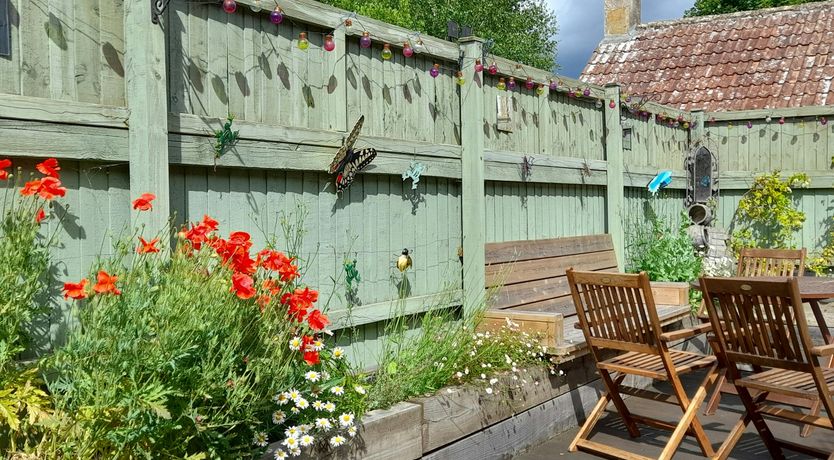 Photo of Summertime in Somerset