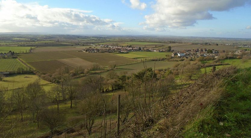 Photo of Summertime in Somerset