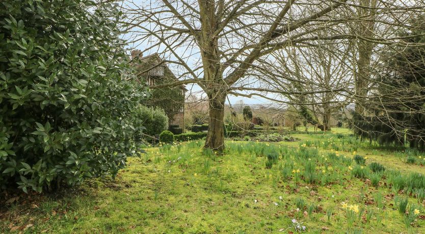 Photo of Manor House Marvel