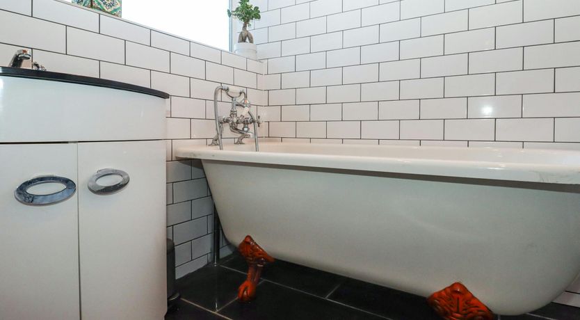 Photo of Margate Magpie