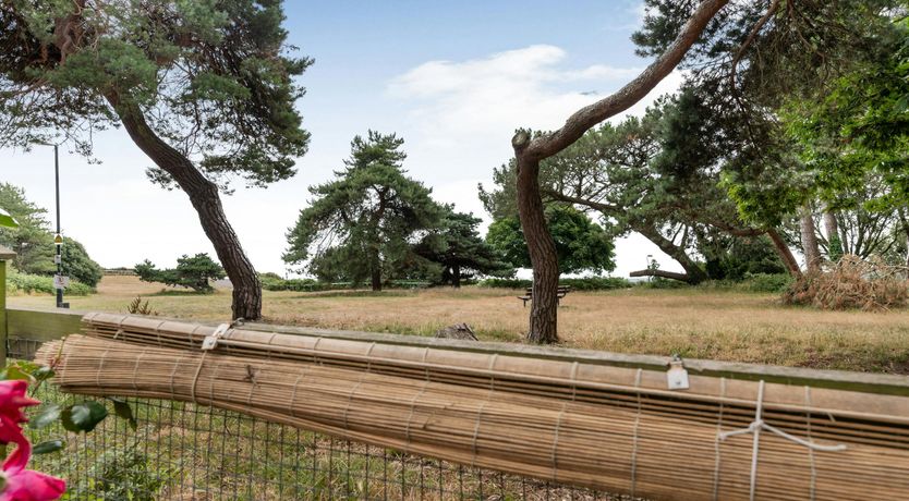 Photo of Dorset Paradise