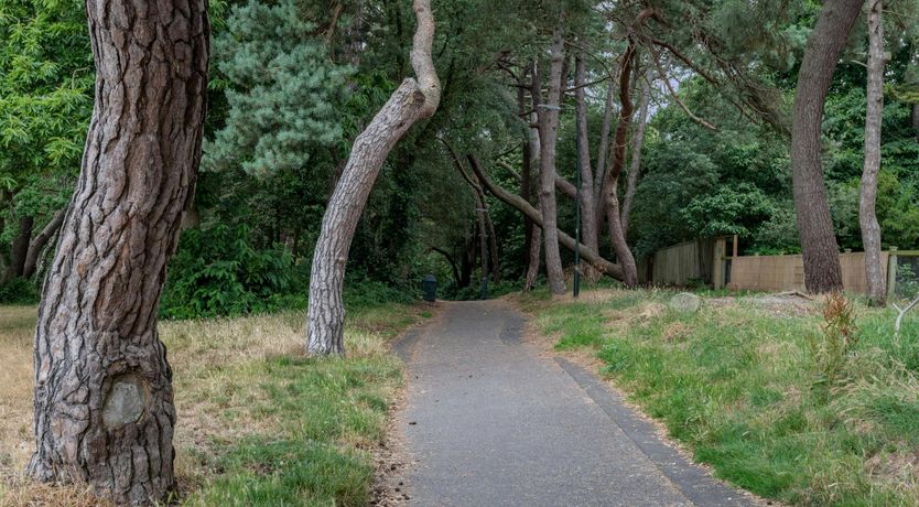 Photo of Dorset Paradise