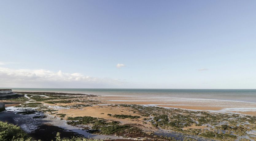 Photo of Halcyon Horizons