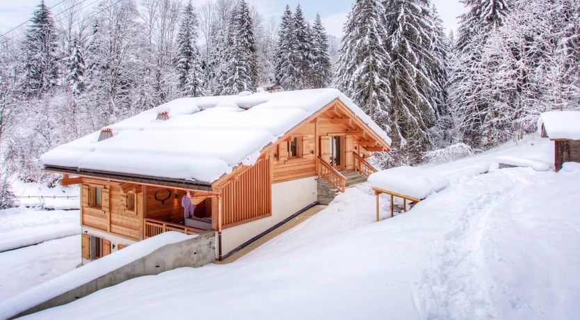 Photo of Snow-Kissed Soul