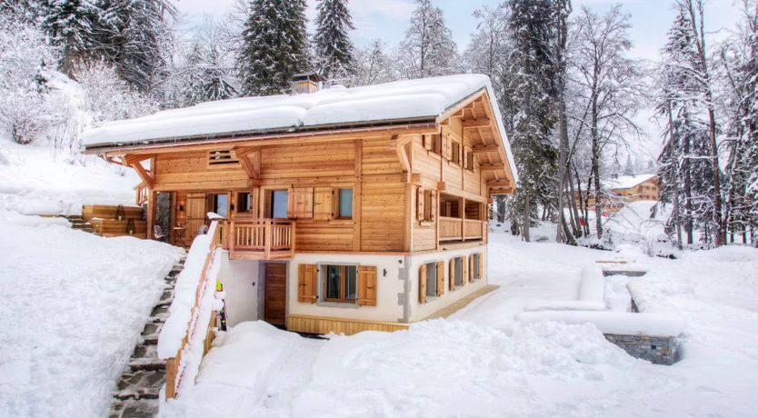 Photo of Snow-Kissed Soul