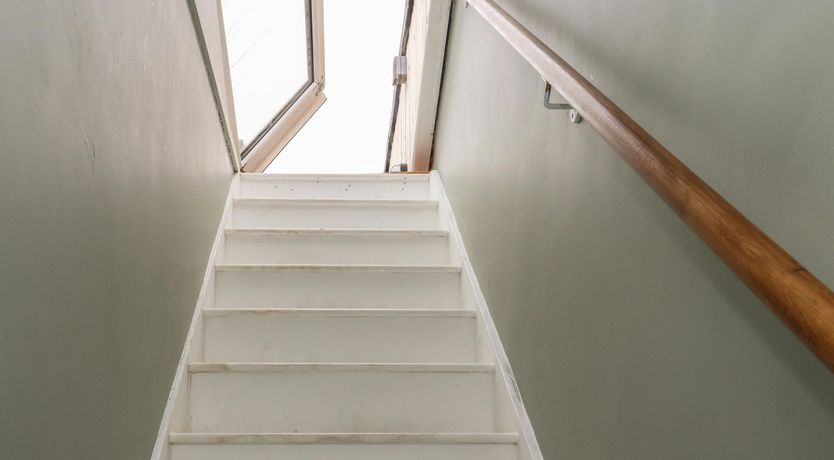 Photo of Happy as a Clam