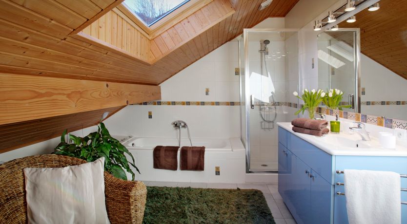 Photo of Roses of the Alps