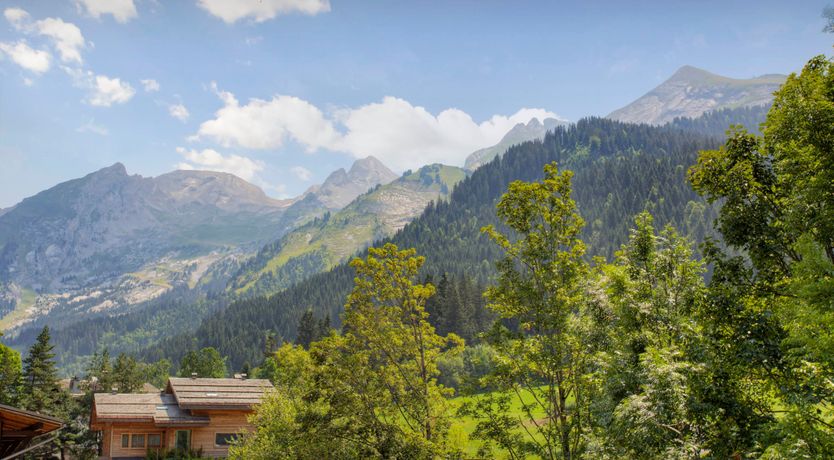 Photo of Cozy in the Alps