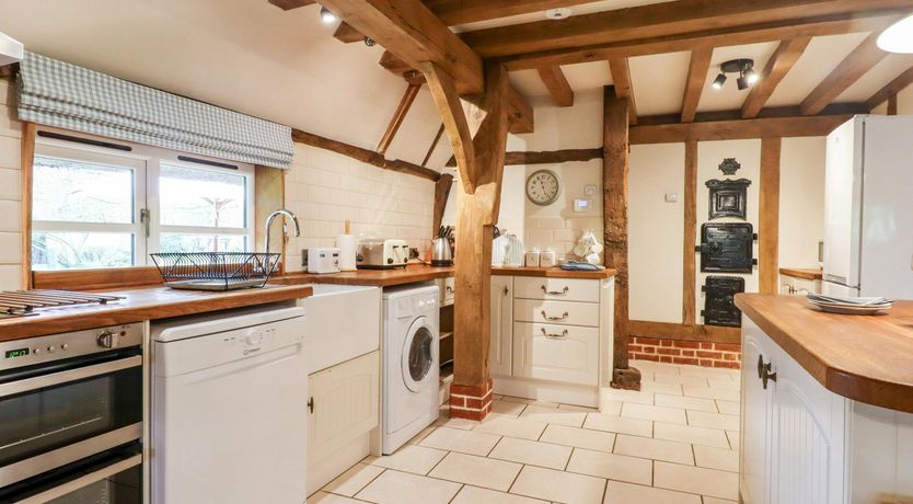 Photo of The Elm & the Vine