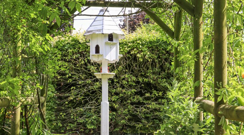 Photo of The Elm & the Vine