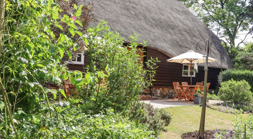 Photo of The Elm & the Vine