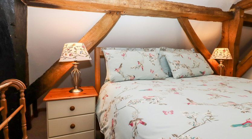 Photo of The Elm & the Vine