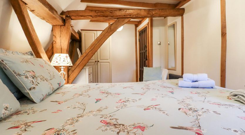 Photo of The Elm & the Vine