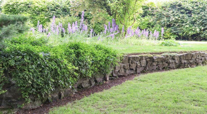 Photo of The Elm & the Vine