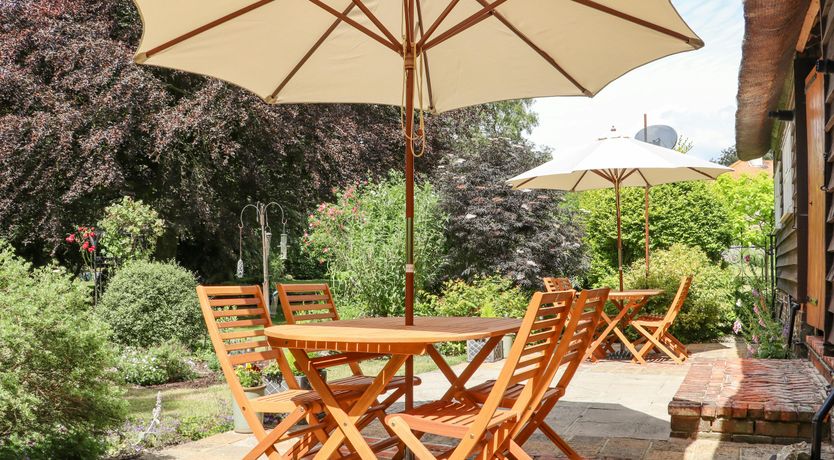 Photo of The Elm & the Vine