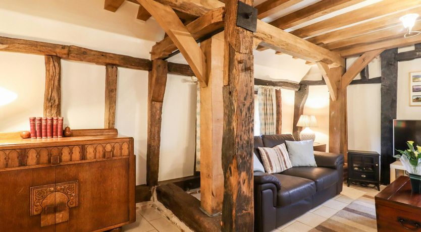 Photo of The Elm & the Vine