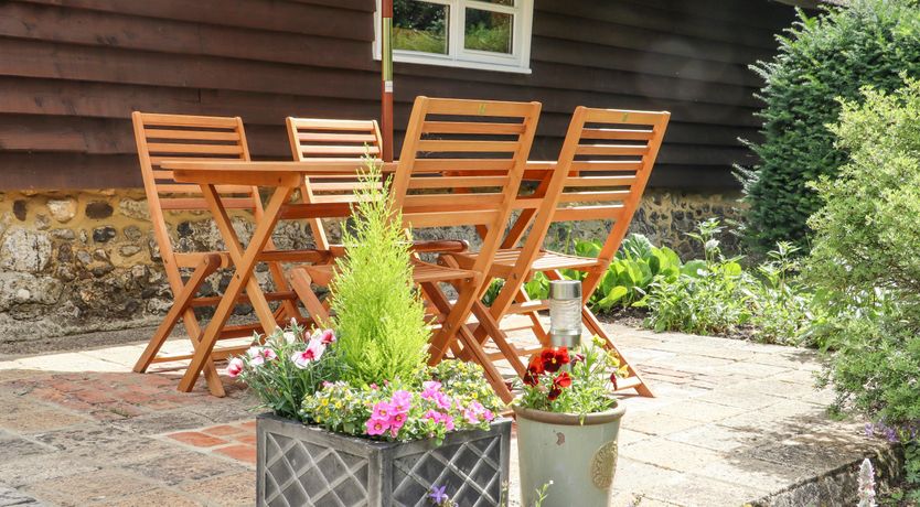 Photo of The Elm & the Vine