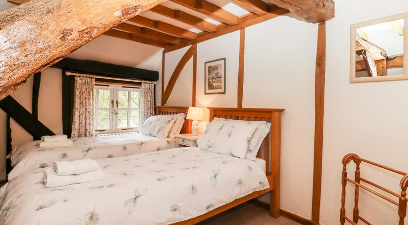 Photo of The Elm & the Vine