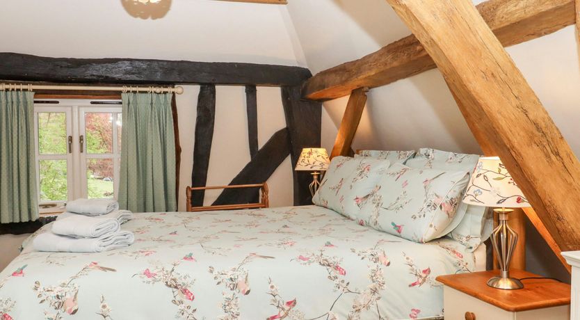 Photo of The Elm & the Vine