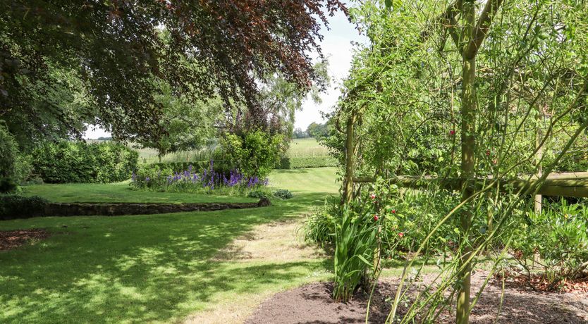 Photo of The Elm & the Vine