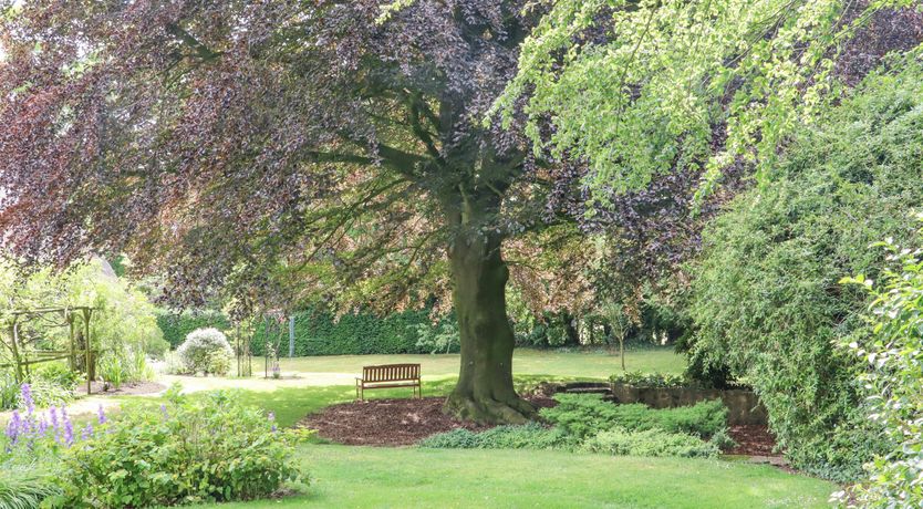 Photo of The Elm & the Vine