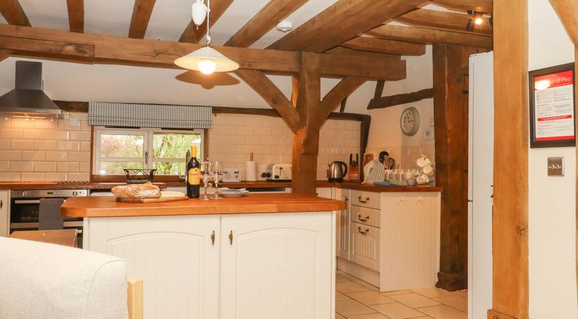 Photo of The Elm & the Vine