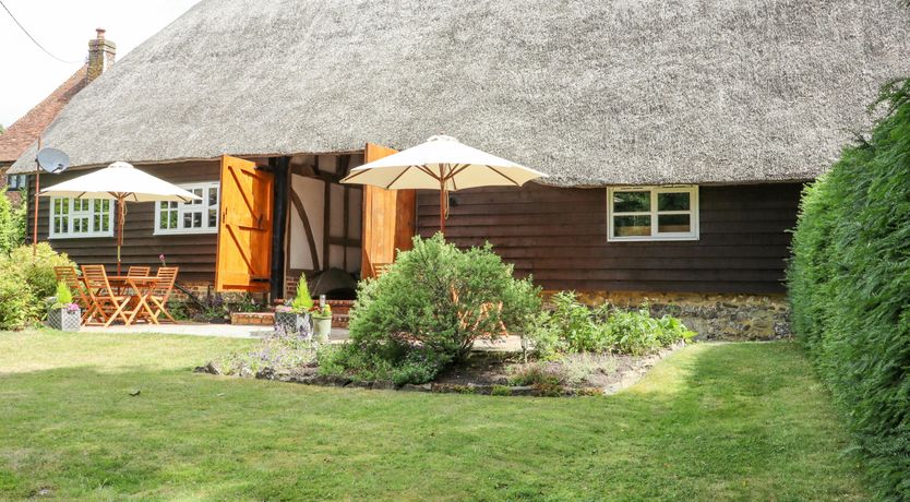 Photo of The Elm & the Vine