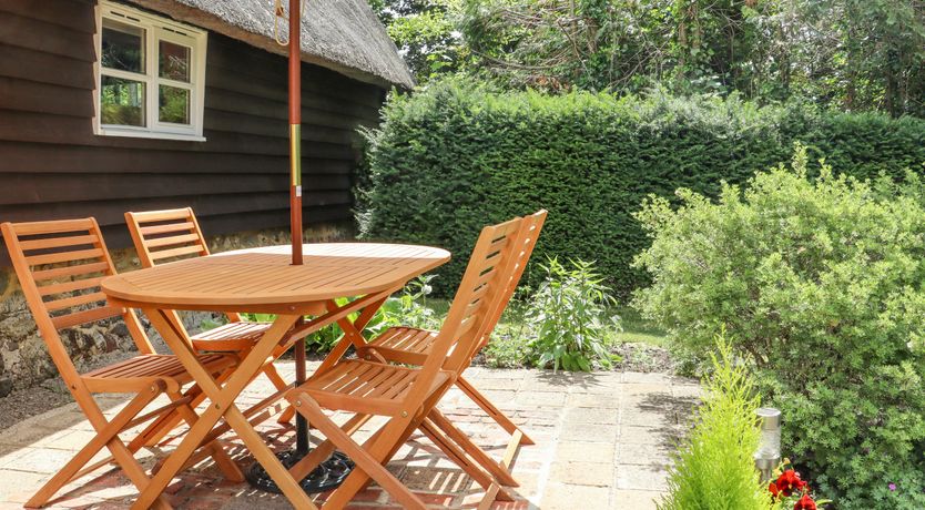 Photo of The Elm & the Vine