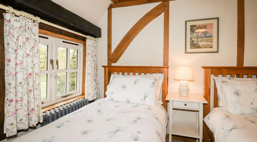 Photo of The Elm & the Vine