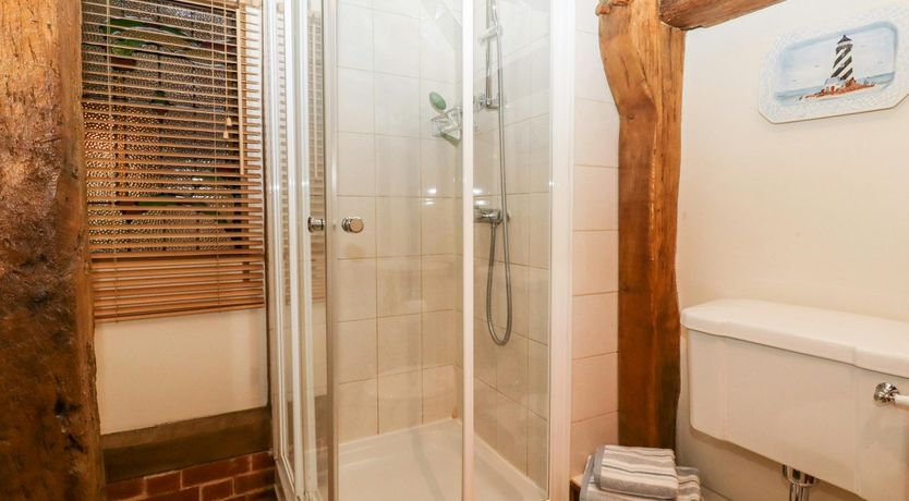 Photo of The Elm & the Vine