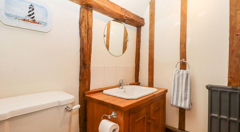 Photo of The Elm & the Vine