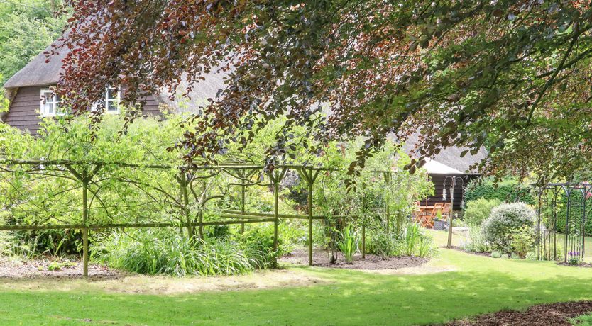 Photo of The Elm & the Vine