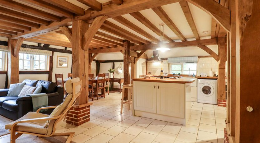 Photo of The Elm & the Vine