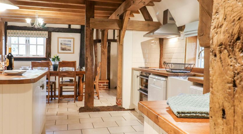 Photo of The Elm & the Vine