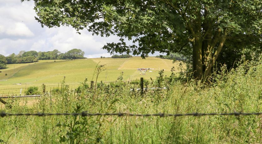 Photo of The Elm & the Vine