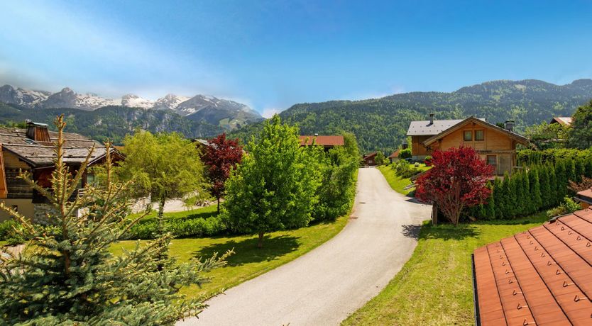 Photo of Snowy Adventure