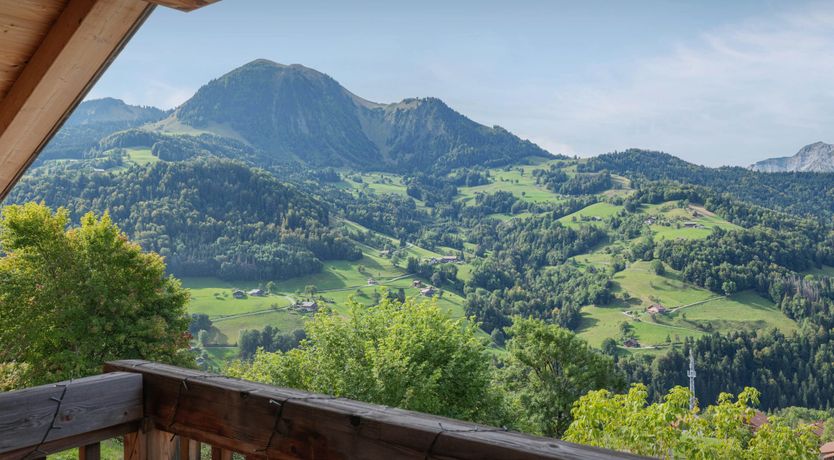 Photo of Hazel Pines