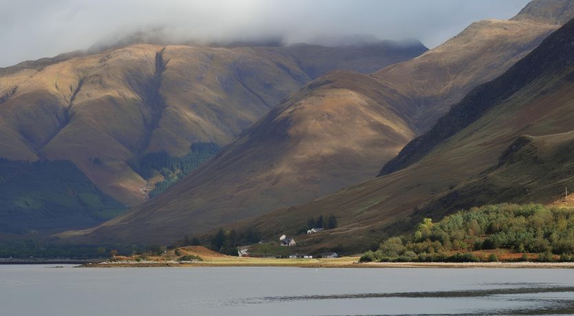 Photo of Full of Wonder