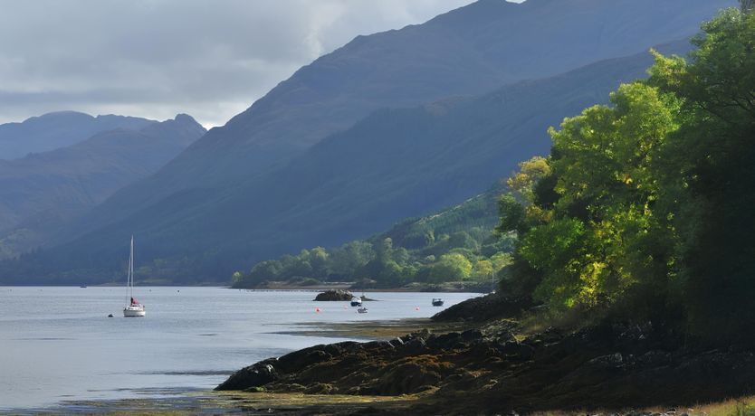 Photo of Full of Wonder