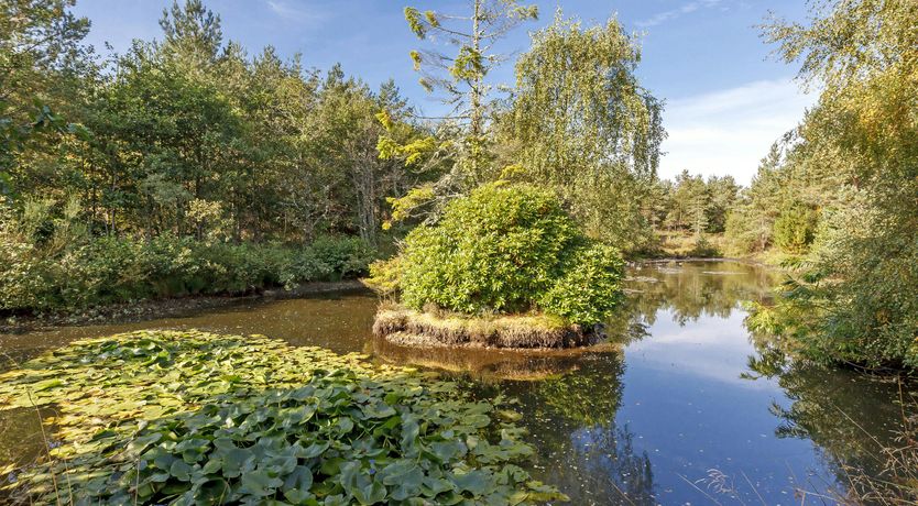 Photo of Red Squirrel Hideaway