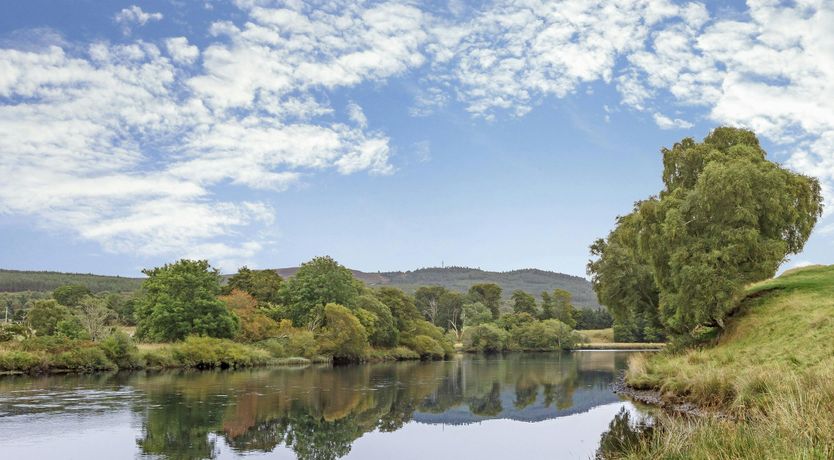 Photo of Red Squirrel Hideaway