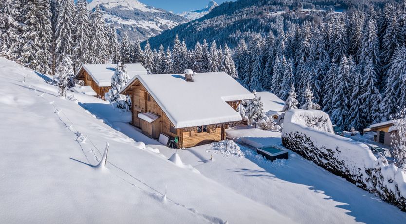 Photo of Alpine Allure