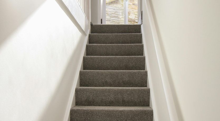 Photo of A Song for All Seas