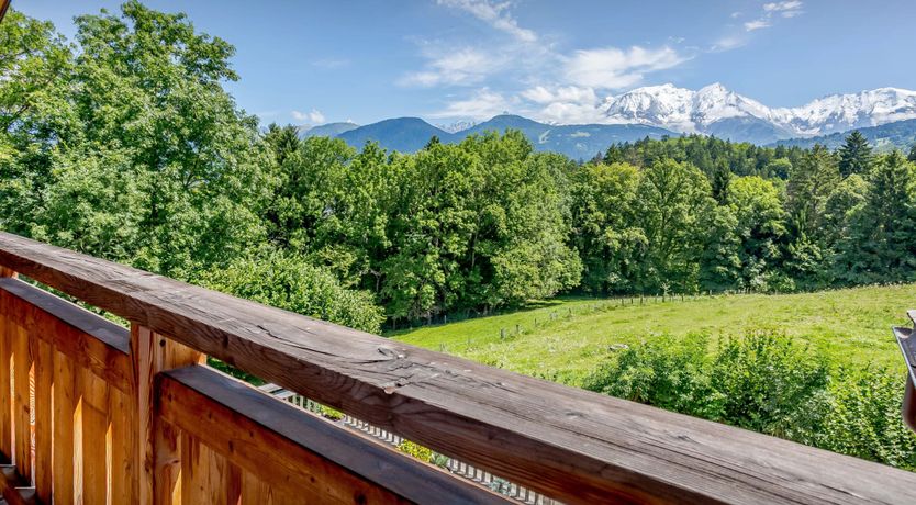 Photo of Snow on the Mountain