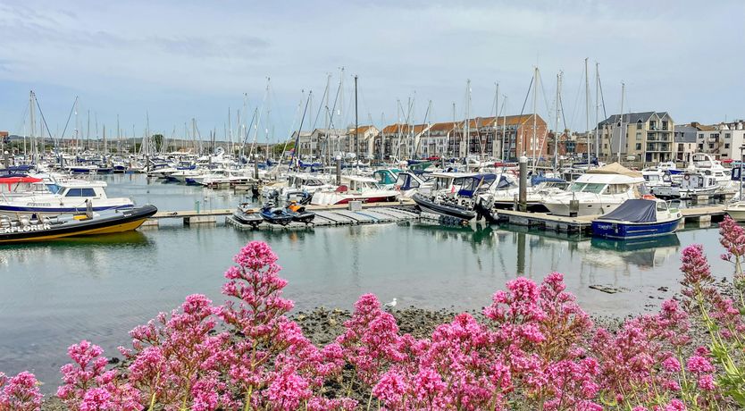 Photo of Weymouth Wonder