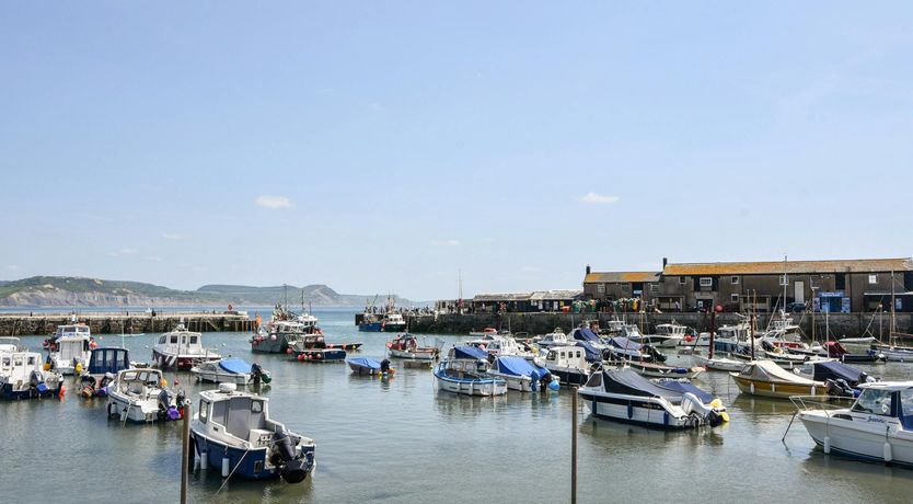 Photo of Surf Heights